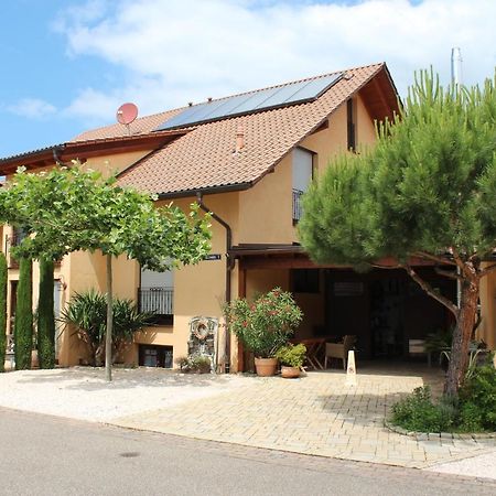 Pension Vanii, Apartments Rust Exterior foto